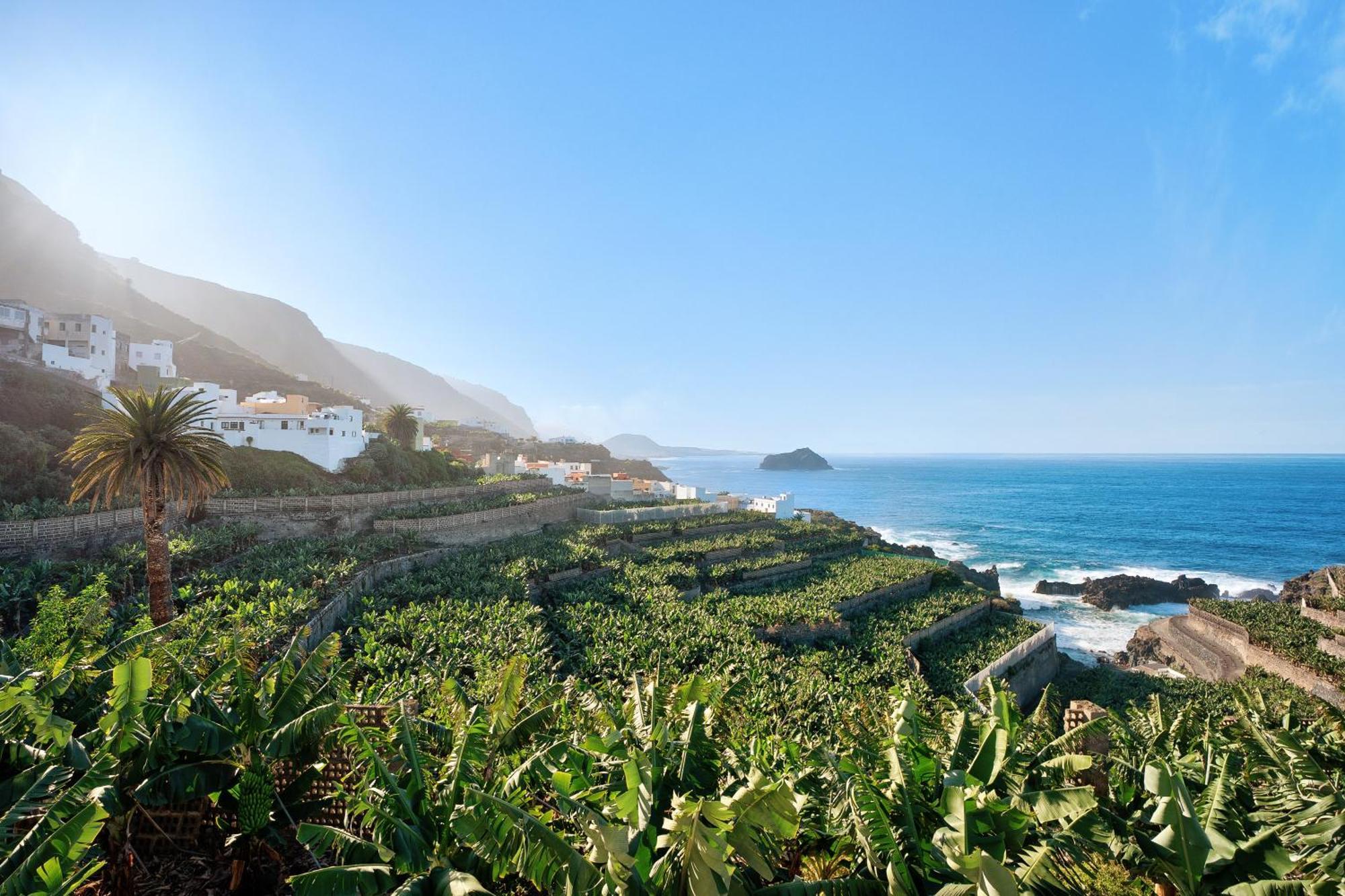 La Hacienda Villa Garachico  Eksteriør bilde